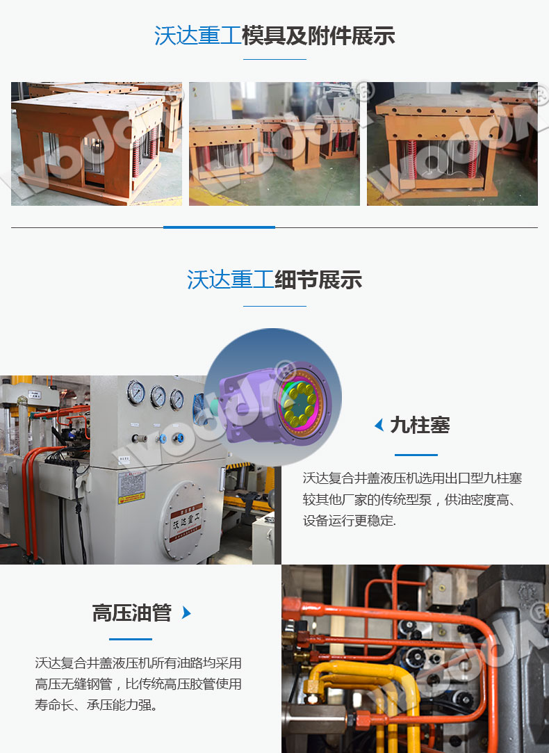 複合井(jing)蓋液壓機(jī)模具展示(shì)