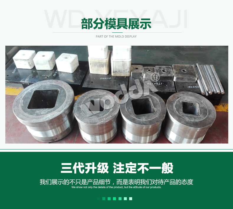 牛羊舔磚(zhuān)液壓機模(mó)具